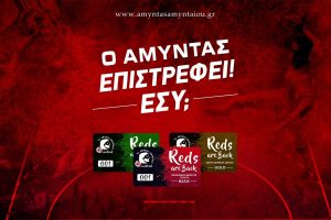 amyntas diarkias karta